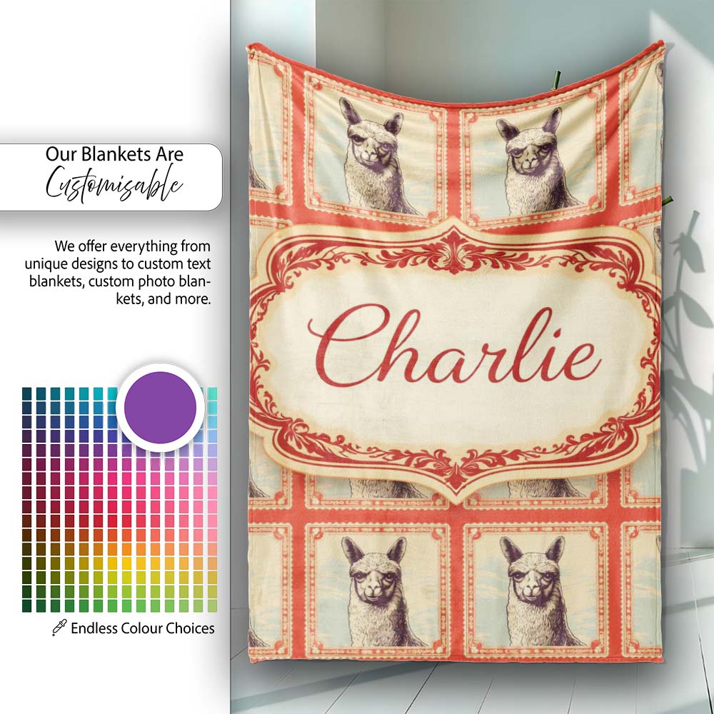Alpaca Sketch Frame Rustic Vintage Animal Pattern Cute Unique Gift Personalised Custom Name Super Soft Fleece Blanket Bed Sofa Throw
