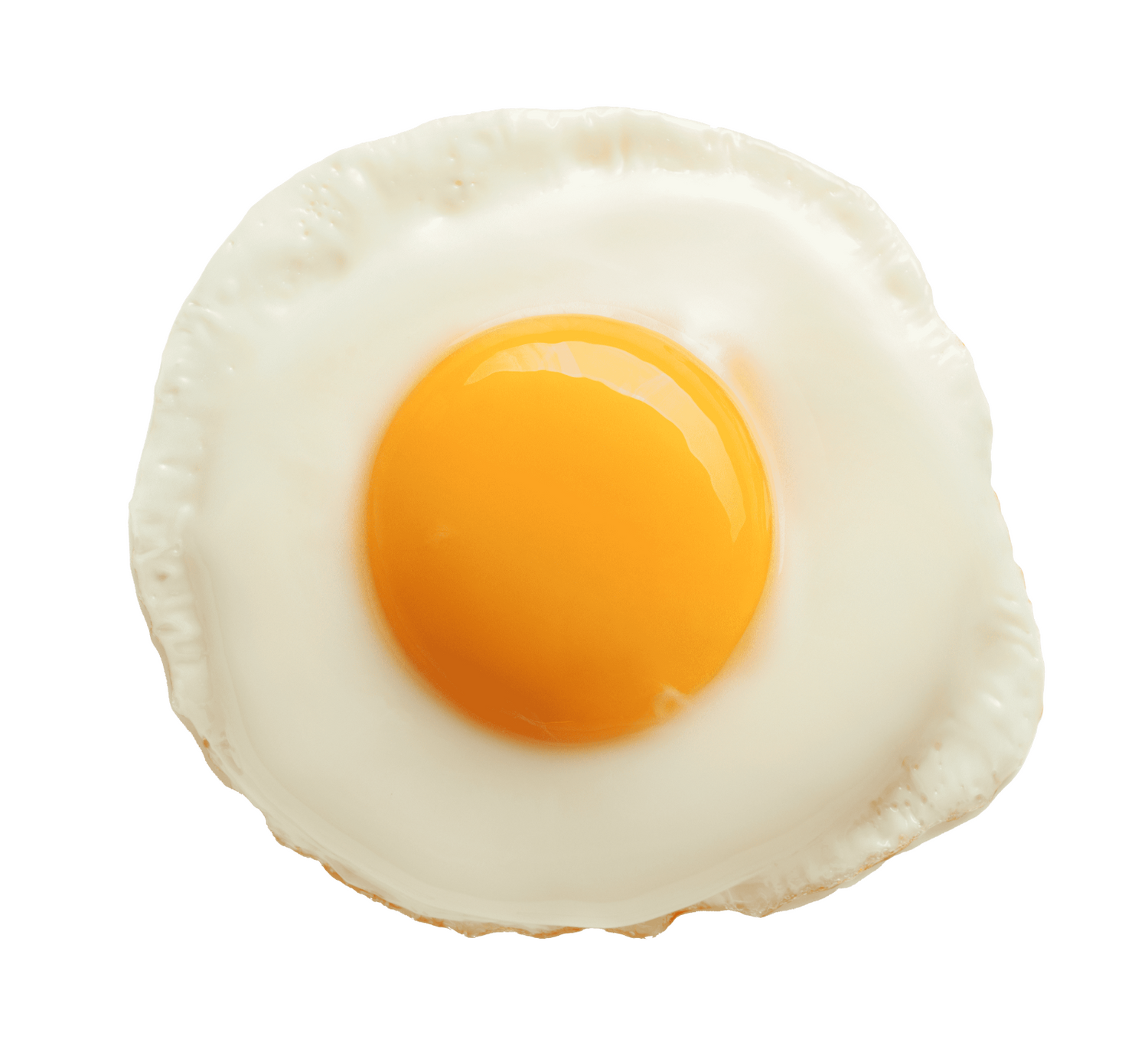 Food Themed Blanket Donut Pizza Tortilla Throw Soft Cozy Gift for Home & Office