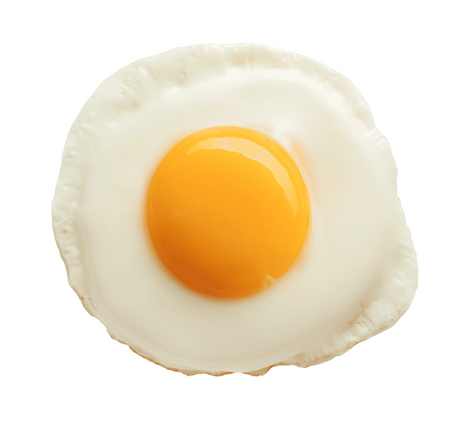 Food Themed Blanket Donut Pizza Tortilla Throw Soft Cozy Gift for Home & Office