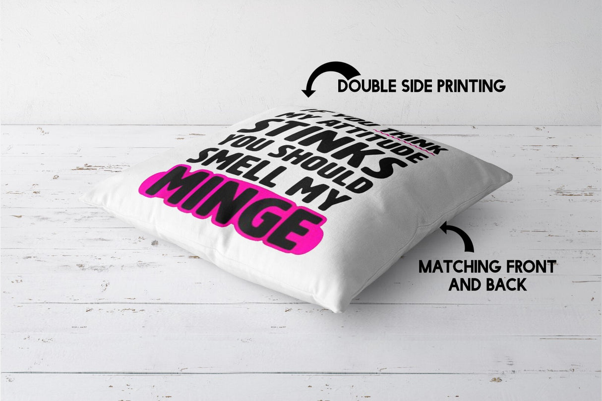 Attitude Stink Rude Funny Novelty Custom Colour Square Filled Cushion Decor Gift