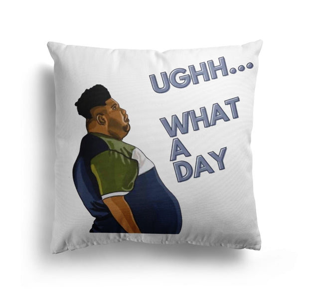 Harvey What A Day Custom Colour Rude Funny Novelty Square Filled Cushion Decor