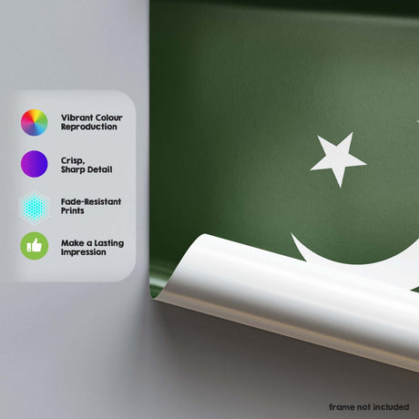 Pakistan Flag Design Custom Wall Art Poster Moon Star Picture Print & Gift Decor