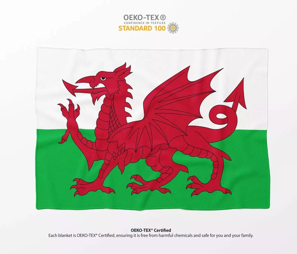Wales Flag Welsh Dragon Custom Made Soft Warm Fleece Blanket Home Decor Throw
