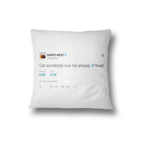 Celebrity Tweets Saying Novelty Funny Filled Cushion Gift Bedroom Decoration