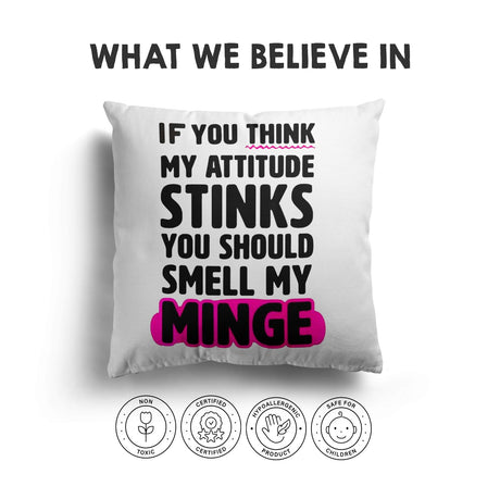 Attitude Stink Rude Funny Novelty Custom Colour Square Filled Cushion Decor Gift