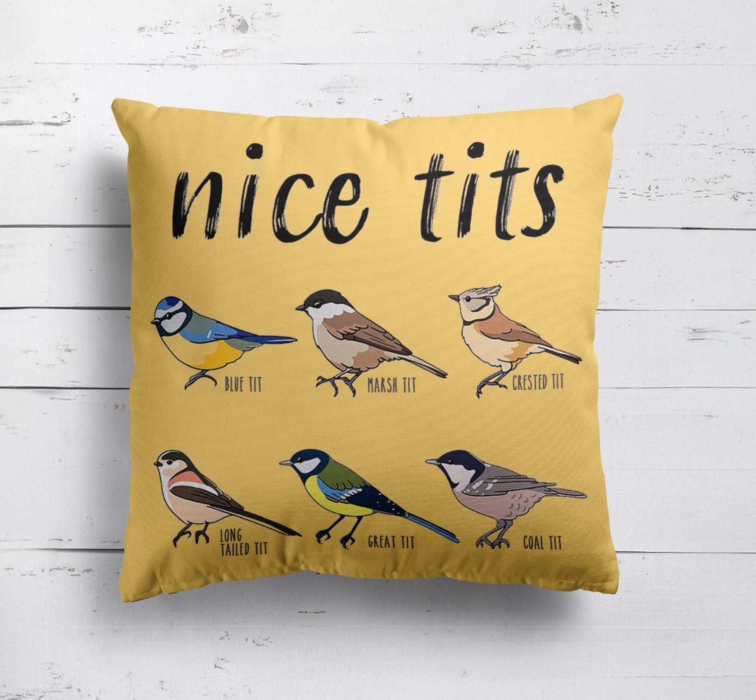 Nice Birds Prank Funny Cheeky Naughty Novelty Soft Square Fill Zip Cushion Throw