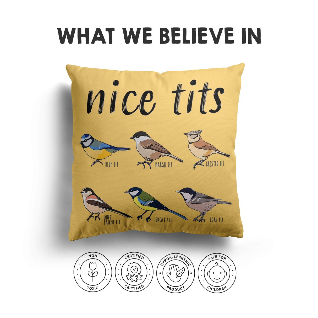 Nice Birds Prank Funny Cheeky Naughty Novelty Soft Square Fill Zip Cushion Throw