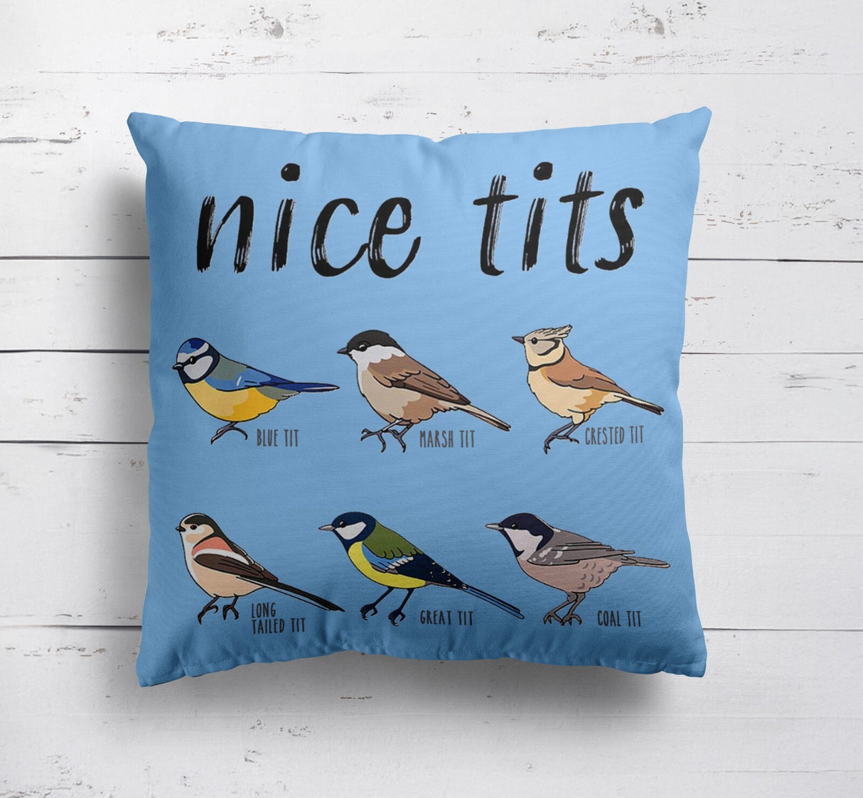 Nice Birds Prank Funny Cheeky Naughty Novelty Soft Square Fill Zip Cushion Throw