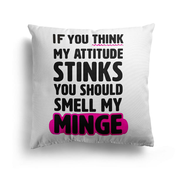 Attitude Stink Rude Funny Novelty Custom Colour Square Filled Cushion Decor Gift