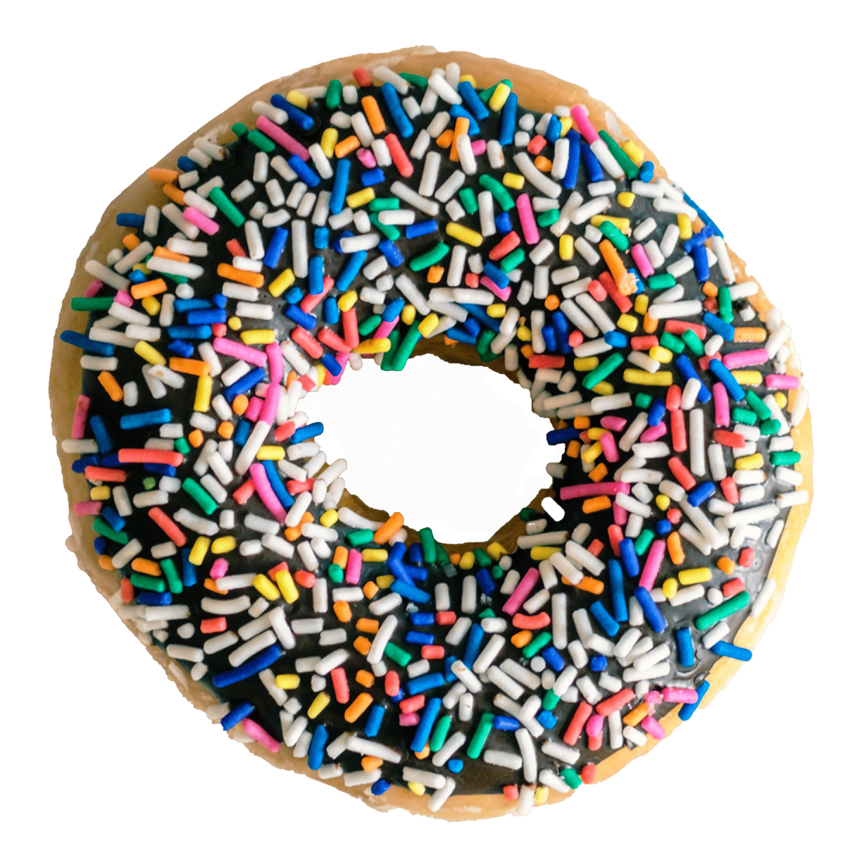 Food Themed Blanket Donut Pizza Tortilla Throw Soft Cozy Gift for Home & Office