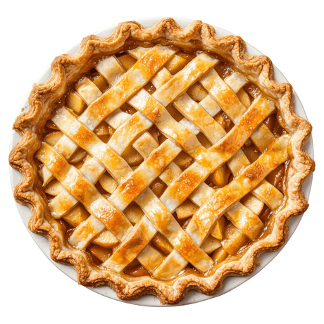 Food Themed Blanket Donut Pizza Tortilla Throw Soft Cozy Gift for Home & Office