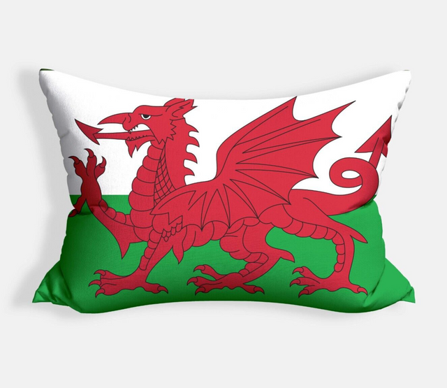 Wales Flag Welsh Dragon Custom Made Printed Soft Pillowcase Pillow Decoration