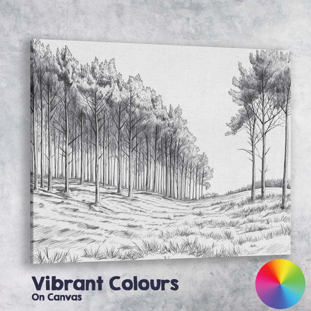 Monochrome Woodland Pencil Sketch Forest Landscape Canvas Wall Art Print Decor Picture Ready to Hang