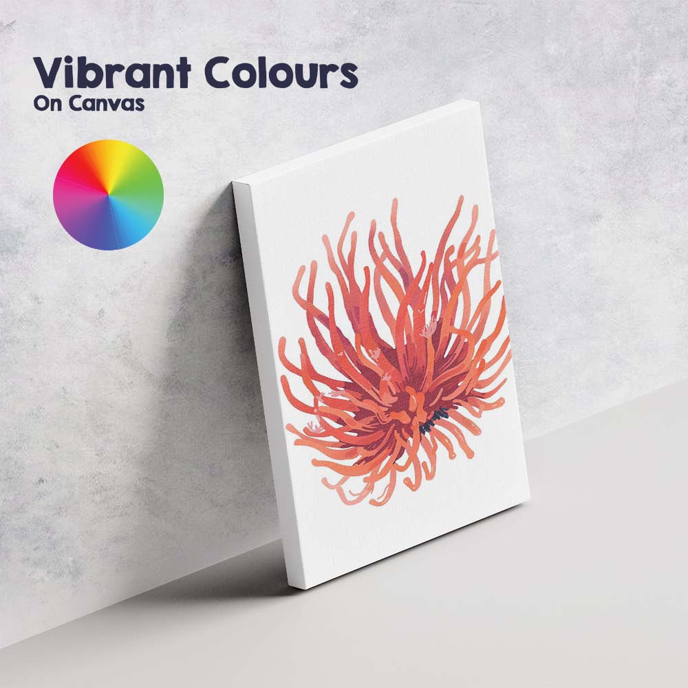 Abstract Coral Sea Anemone Marine Life Illustration Canvas Wall Art Print Decor Picture Ready to Hang