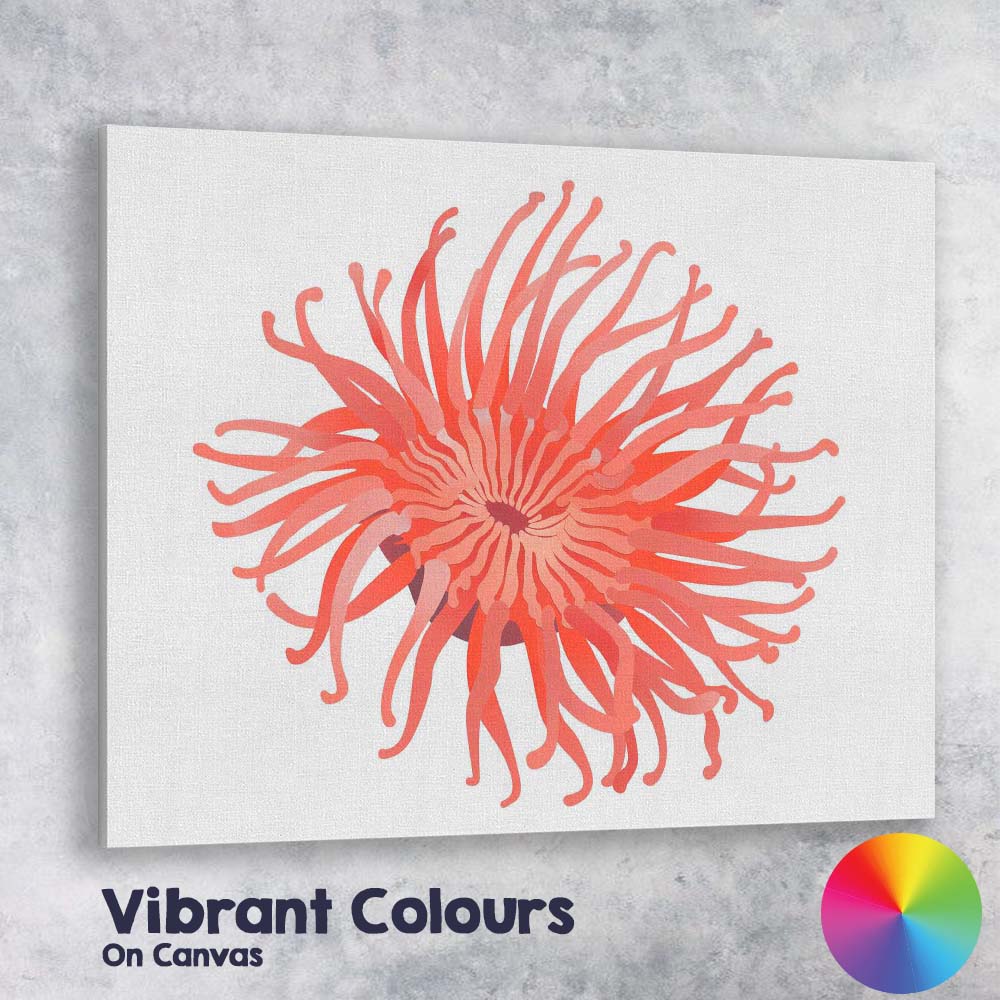 Coral Pink Sea Anemone Underwater Marine Illustration Canvas Wall Art Print Decor Picture Ready to Hang