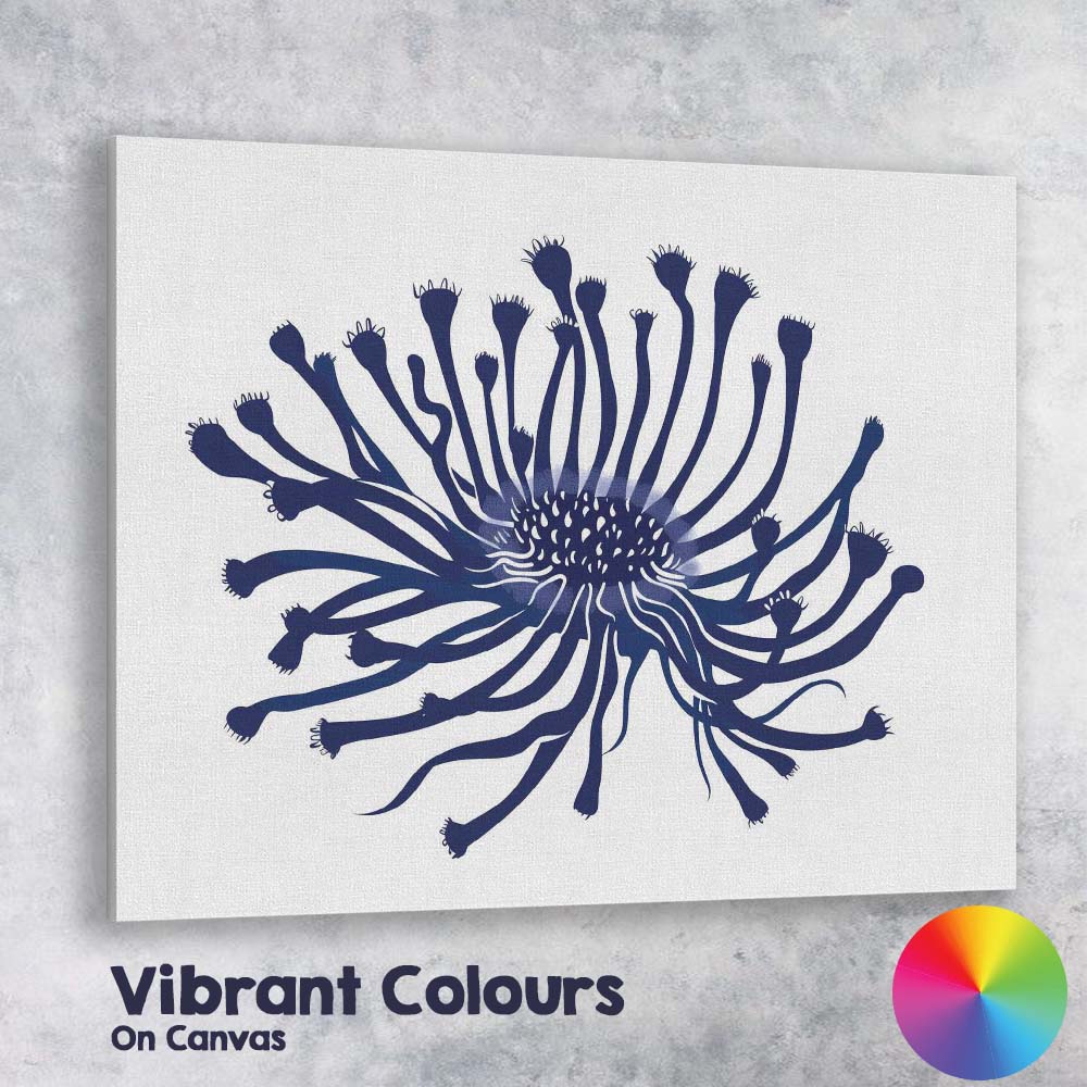 Navy Blue Abstract Coral Flower Botanical Illustration Canvas Wall Art Print Decor Picture Ready to Hang