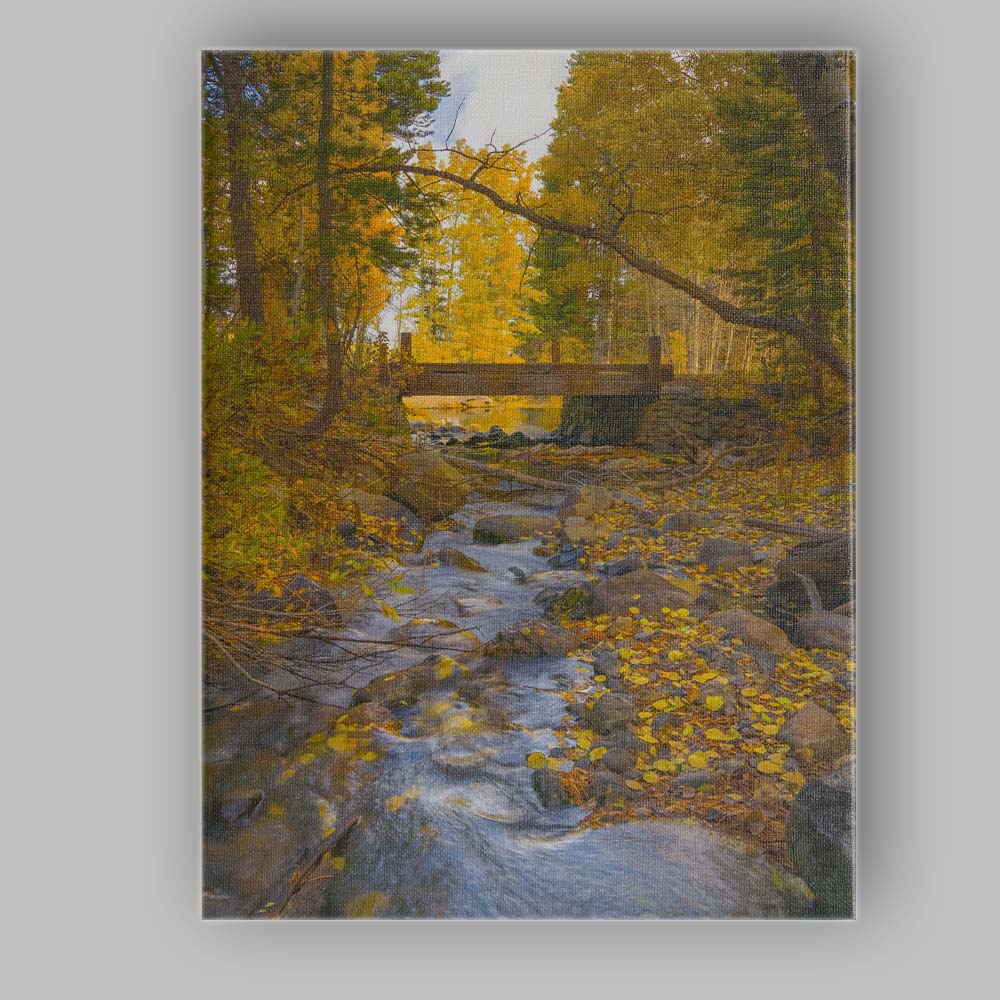 Golden Autumn Forest Bridge and Stream Nature Photography Canvas Wall Art Print Decor Picture Ready to Hang