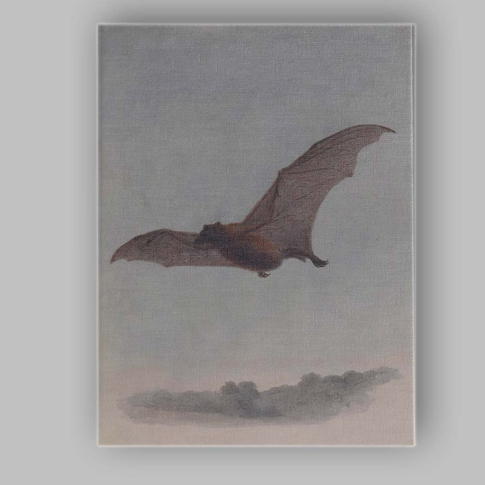 Flying Bat Natural History Wildlife Illustration Canvas Wall Art Print Decor Picture Ready to Hang