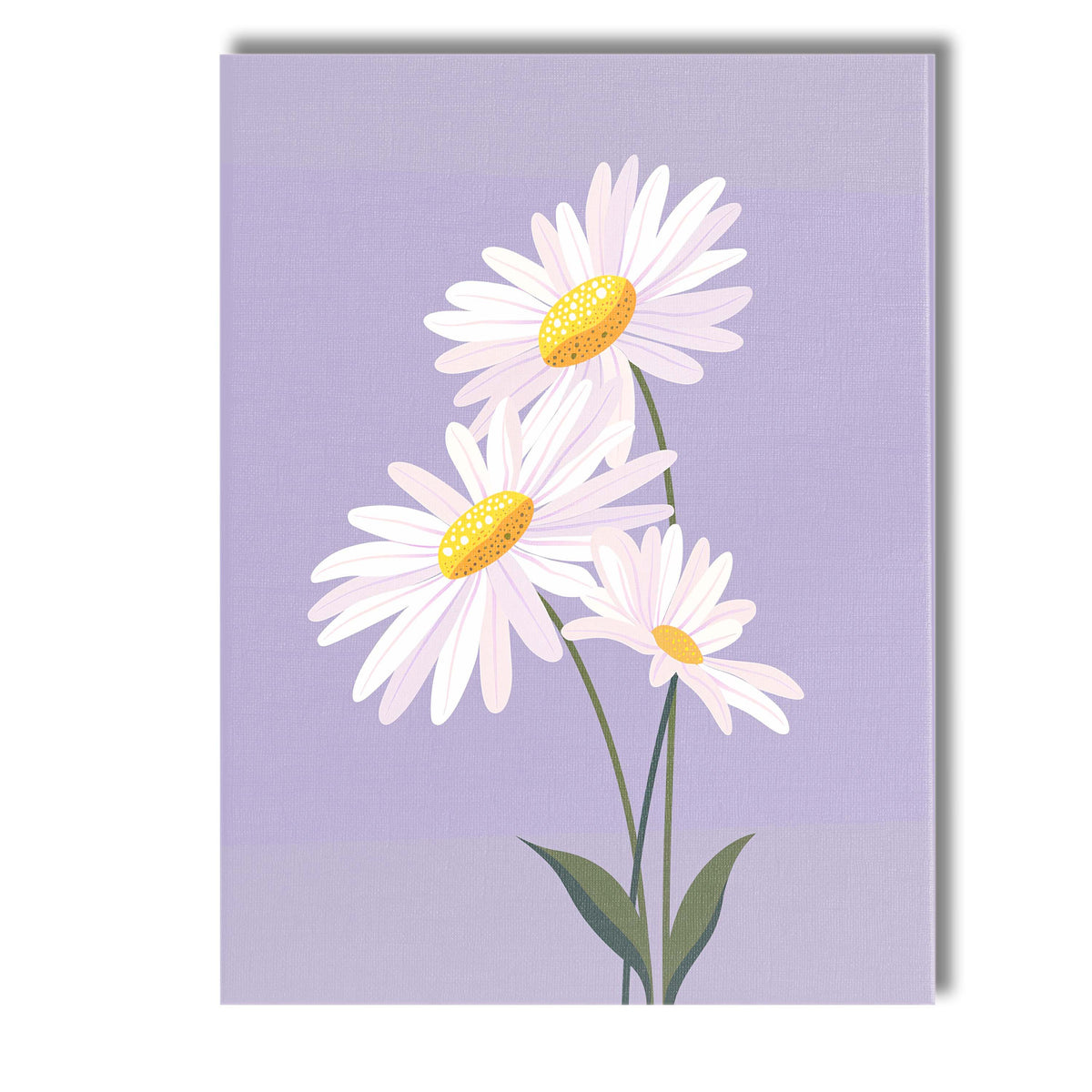 Pastel Lavender Daisy Floral Botanical Illustration Canvas Wall Art Print Decor Picture Ready to Hang