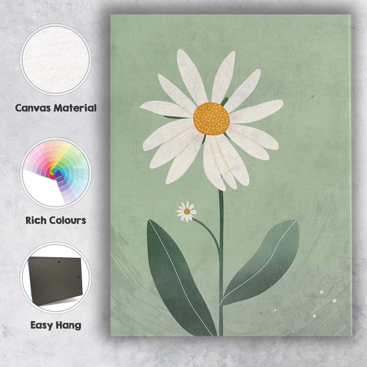 Soft Sage Daisy Botanical Illustration Contemporary Floral Art Canvas Wall Art Print Decor Picture Ready to Hang