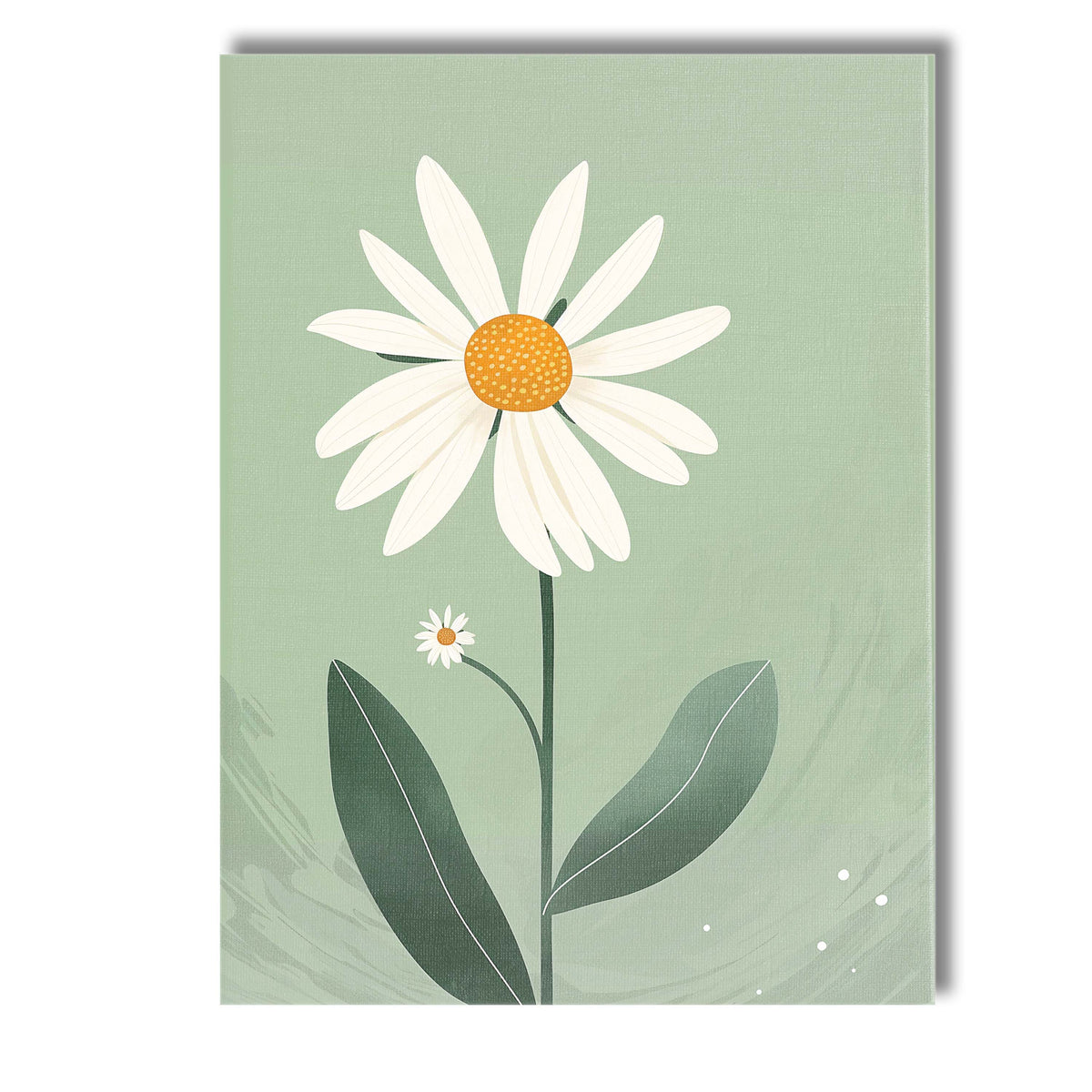 Soft Sage Daisy Botanical Illustration Contemporary Floral Art Canvas Wall Art Print Decor Picture Ready to Hang