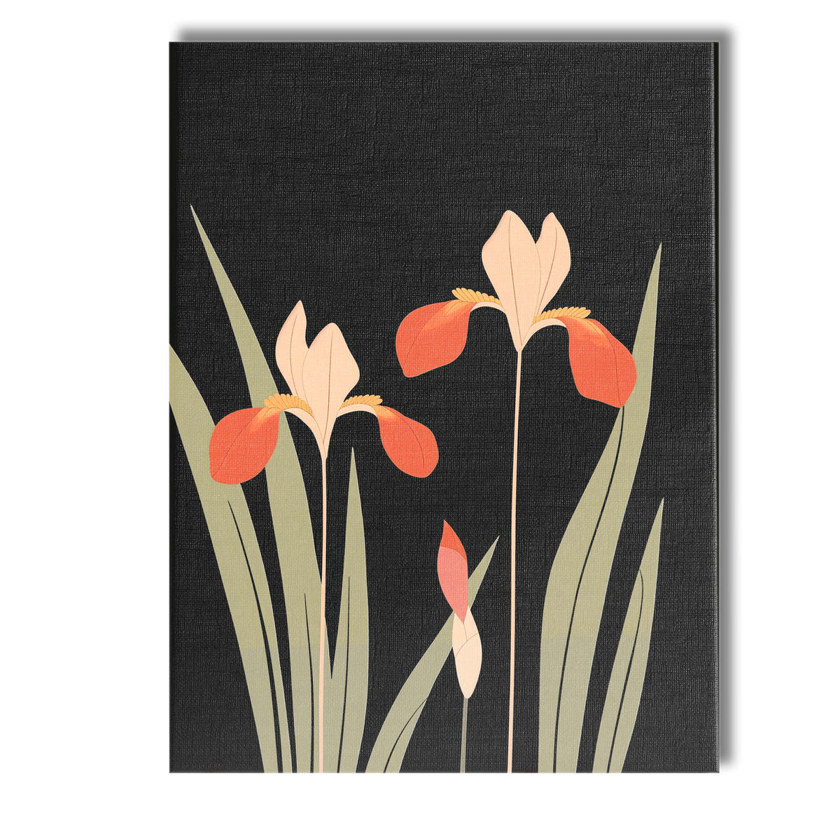 Minimalist Coral Iris Flowers Black Background Botanical Artwork Canvas Wall Art Print Decor Picture Ready to Hang
