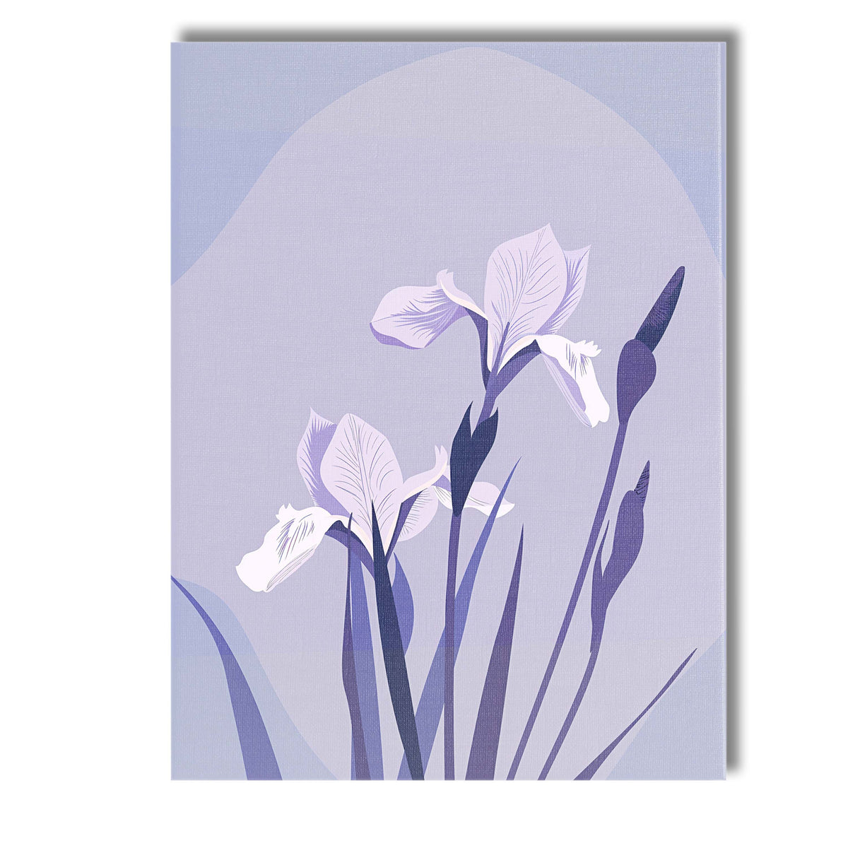 Soft Lavender Iris Floral Illustration Contemporary Botanical Design Canvas Wall Art Print Decor Picture Ready to Hang