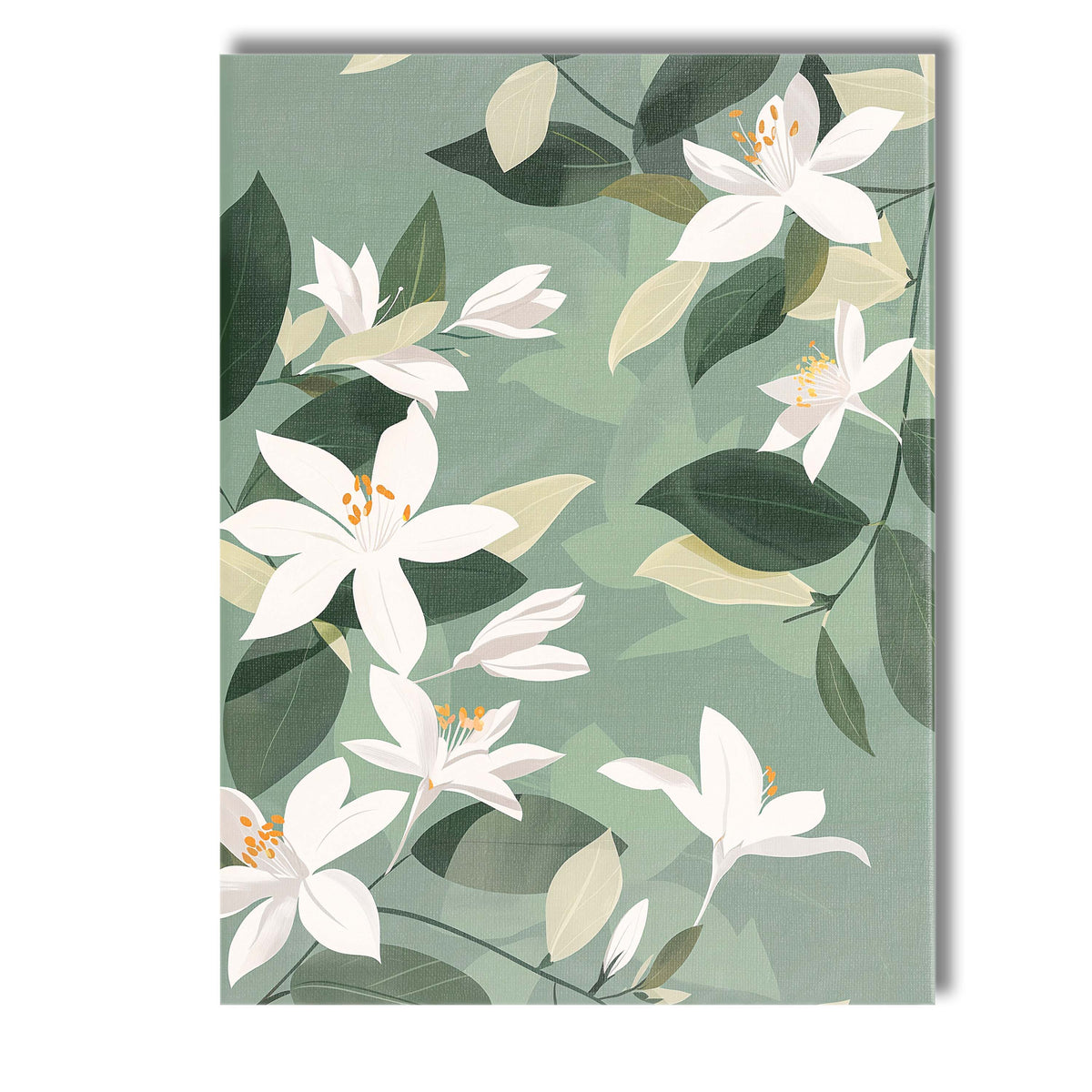 White Jasmine Blossom Botanical Pattern Sage Green Floral Design Canvas Wall Art Print Decor Picture Ready to Hang