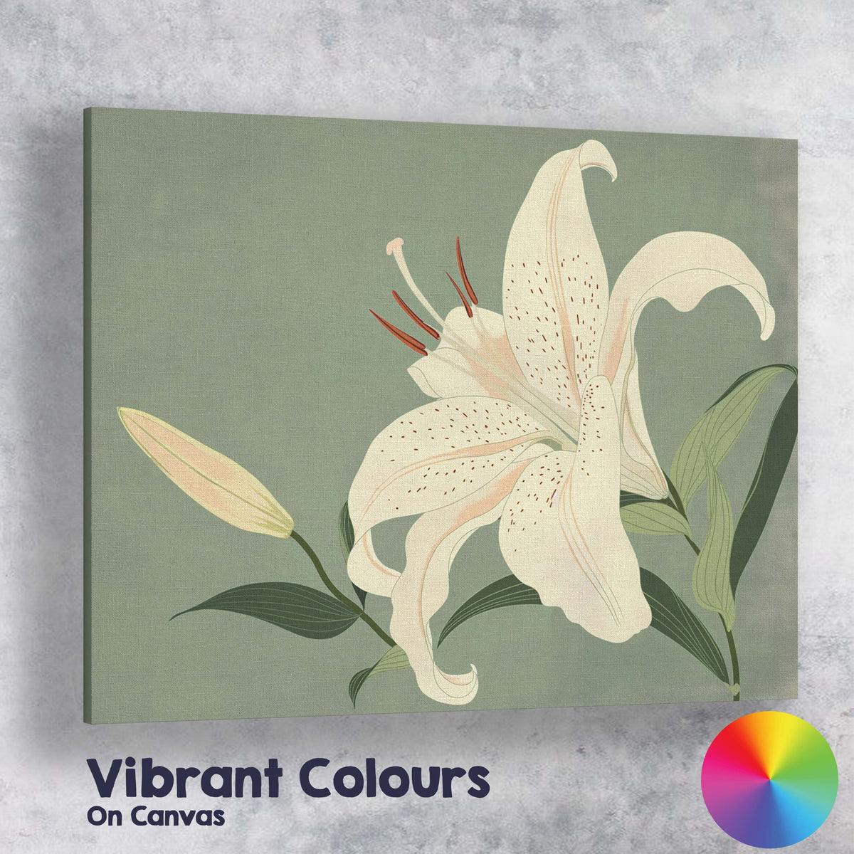 Elegant White Lily Bloom Sage Green Botanical Illustration Canvas Wall Art Print Decor Picture Ready to Hang