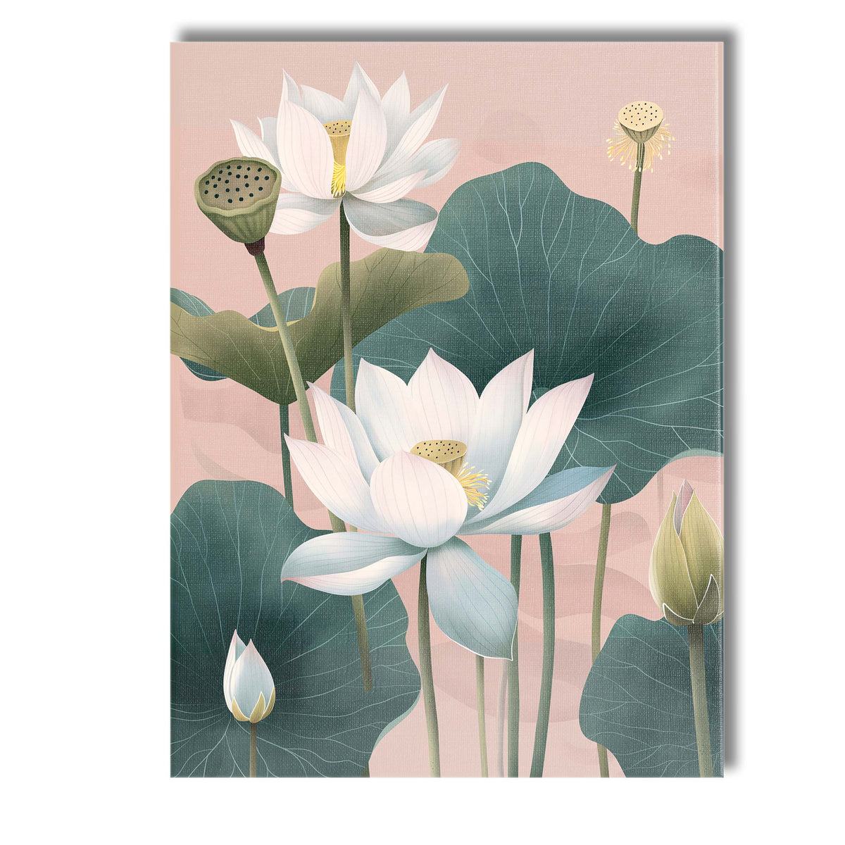 Soft Blush White Lotus Bloom Botanical Nature Art Canvas Wall Art Print Decor Picture Ready to Hang