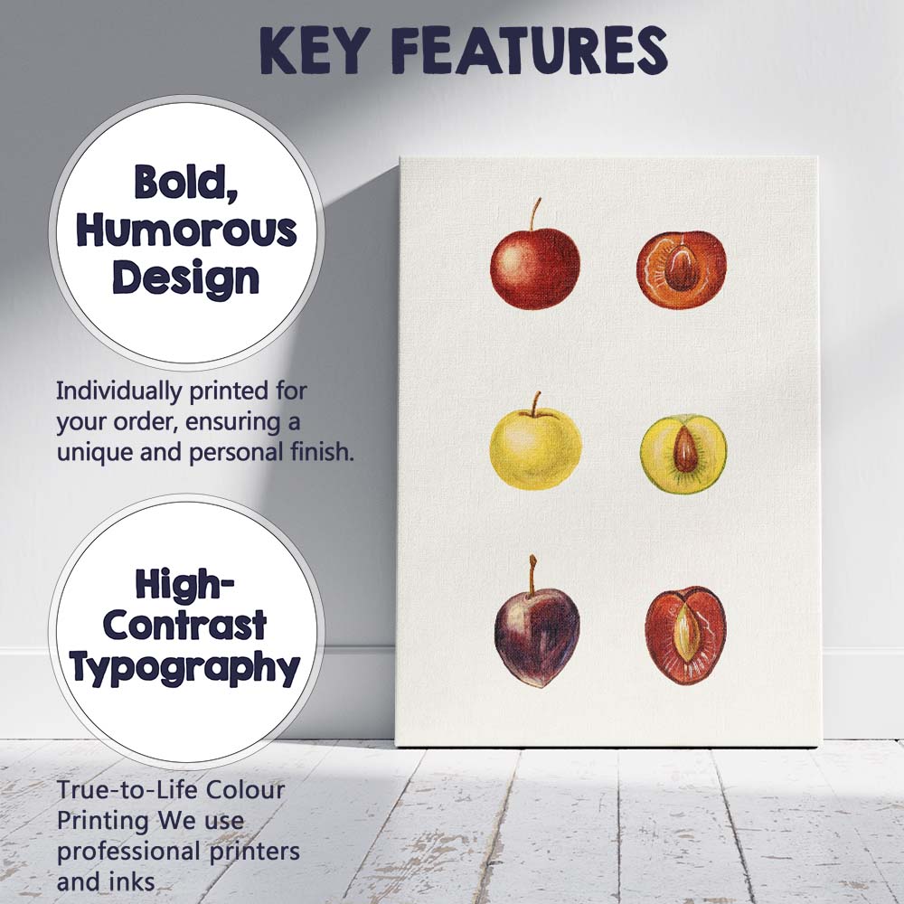 Botanical Plum Fruit Study Watercolour Illustration Canvas Wall Art Print Decor Picture Ready to Hang