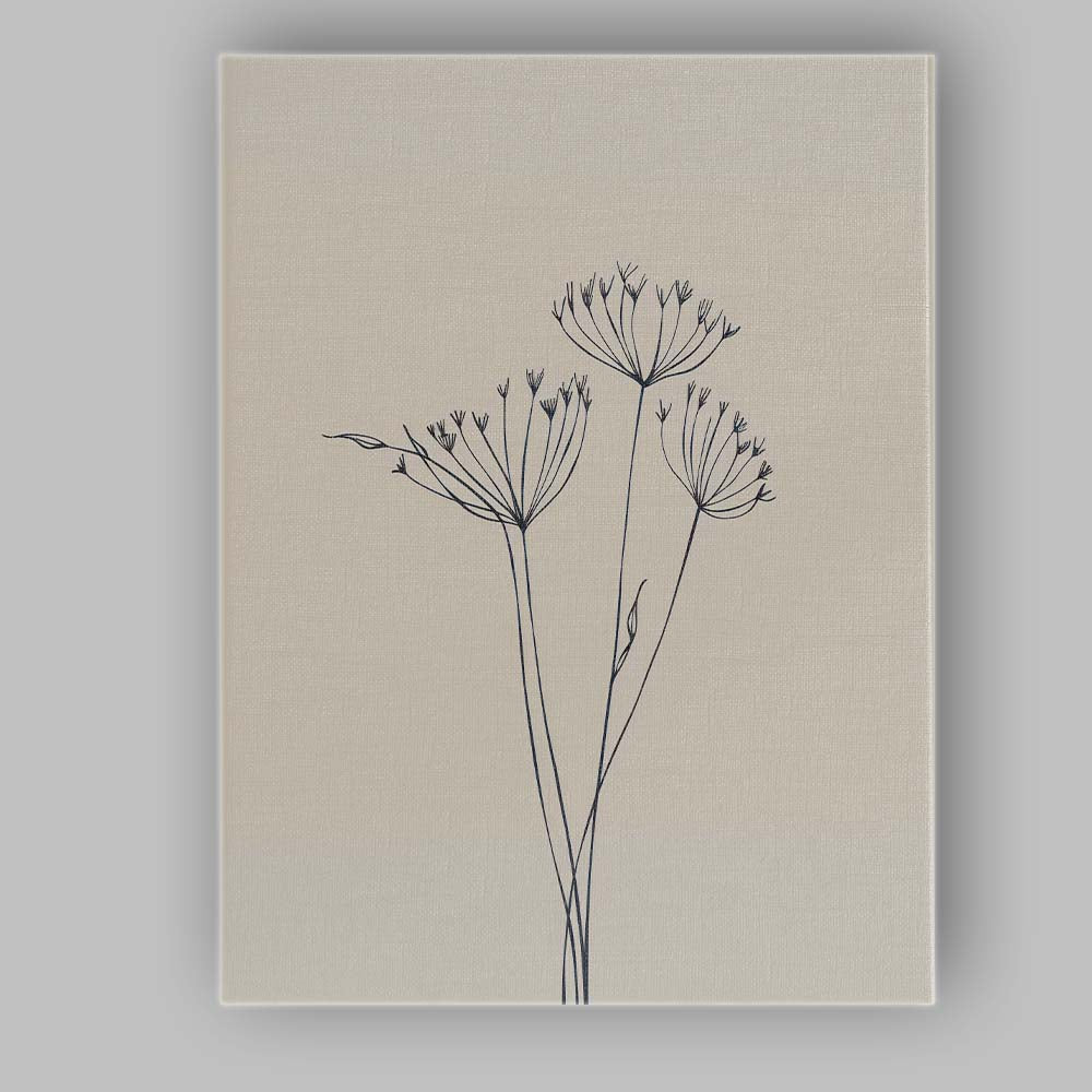 Minimalist Wildflower Seed Head Botanical Line Drawing Canvas Wall Art Print Decor Picture Ready to Hang