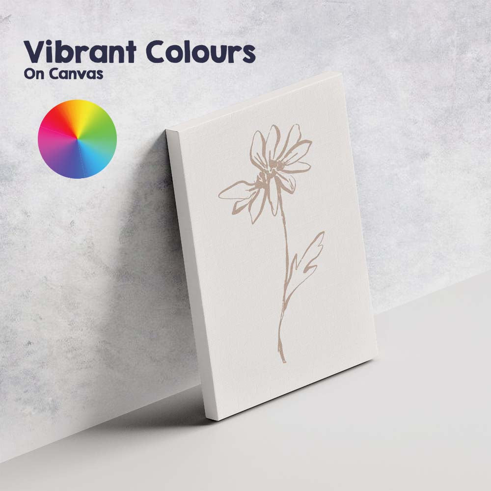 Minimalist Single Wildflower Sketch Botanical Canvas Wall Art Print Decor Picture Ready to Hang