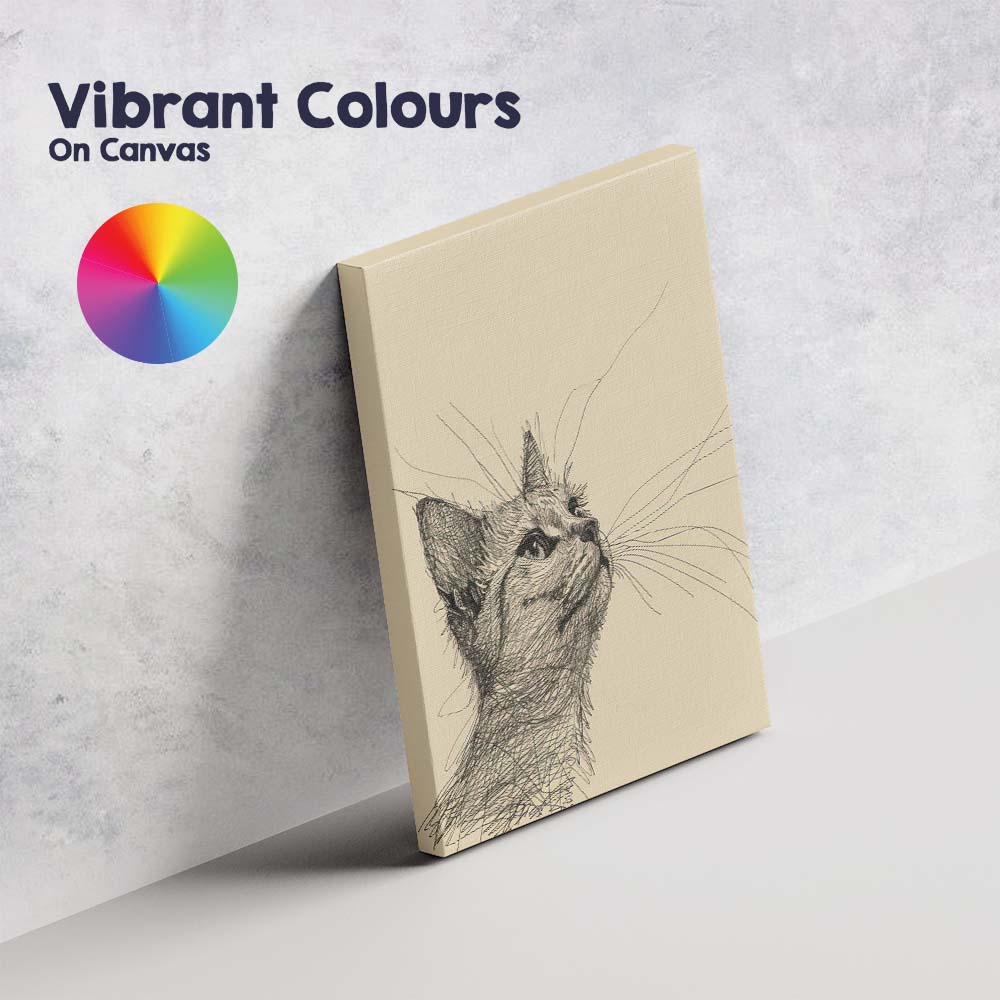 Detailed Kitten Portrait Pen Sketch Canvas Wall Art Print Decor Picture Ready to Hang
