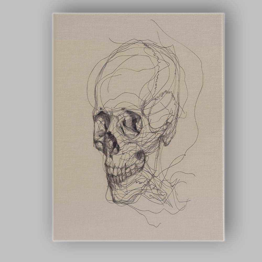 Detailed Human Skull Anatomical Sketch Canvas Wall Art Print Decor Picture Ready to Hang