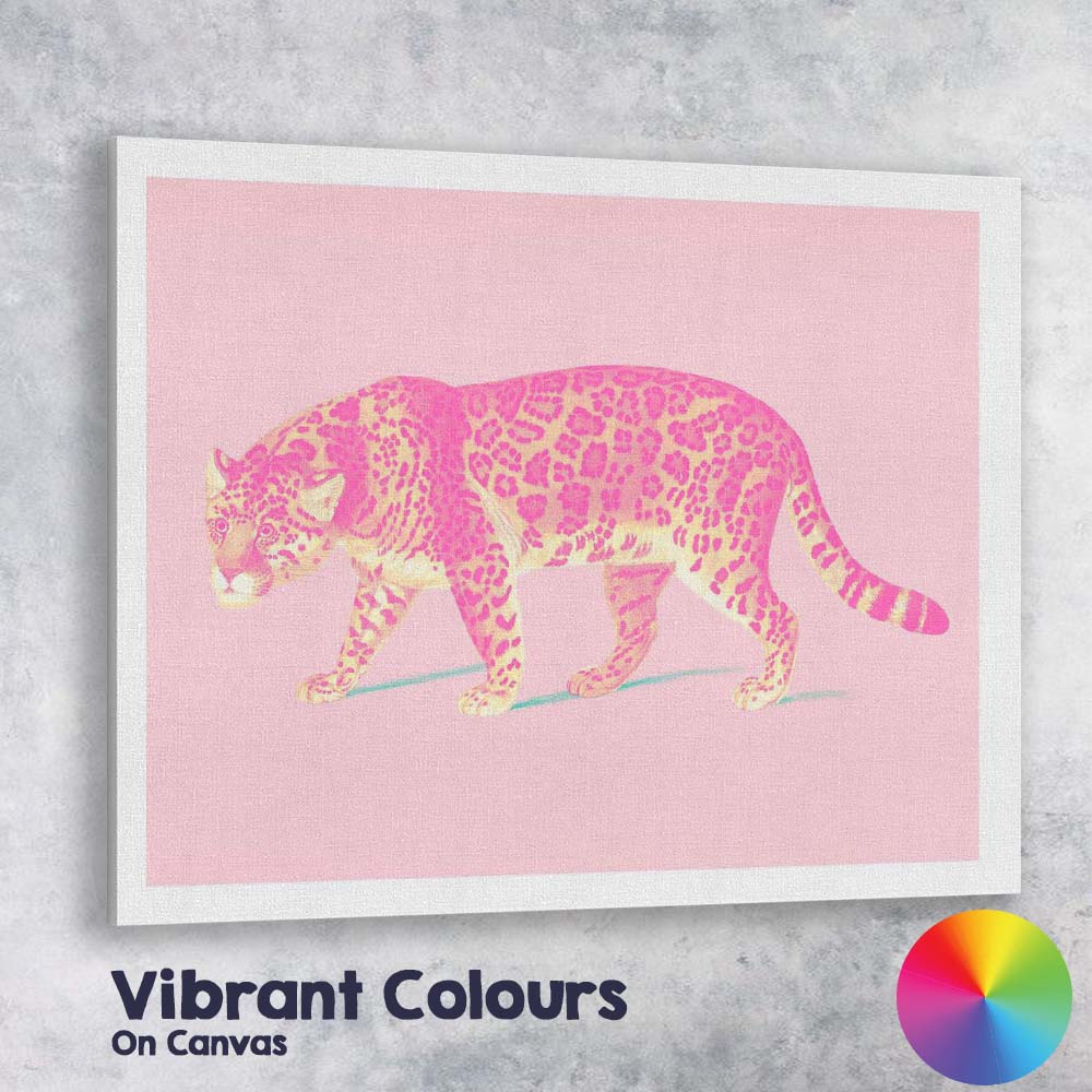 Pop Art Pink Leopard Wildlife Illustration Canvas Wall Art Print Decor Picture Ready to Hang