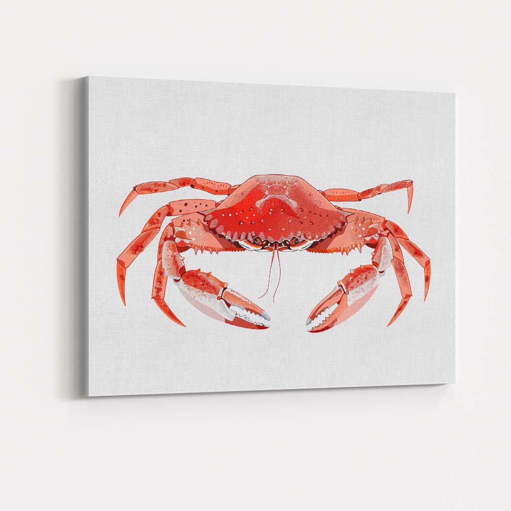 Detailed Red Brown Edible Crab Marine Wildlife Illustration Canvas Wall Art Print Decor Picture Ready to Hang