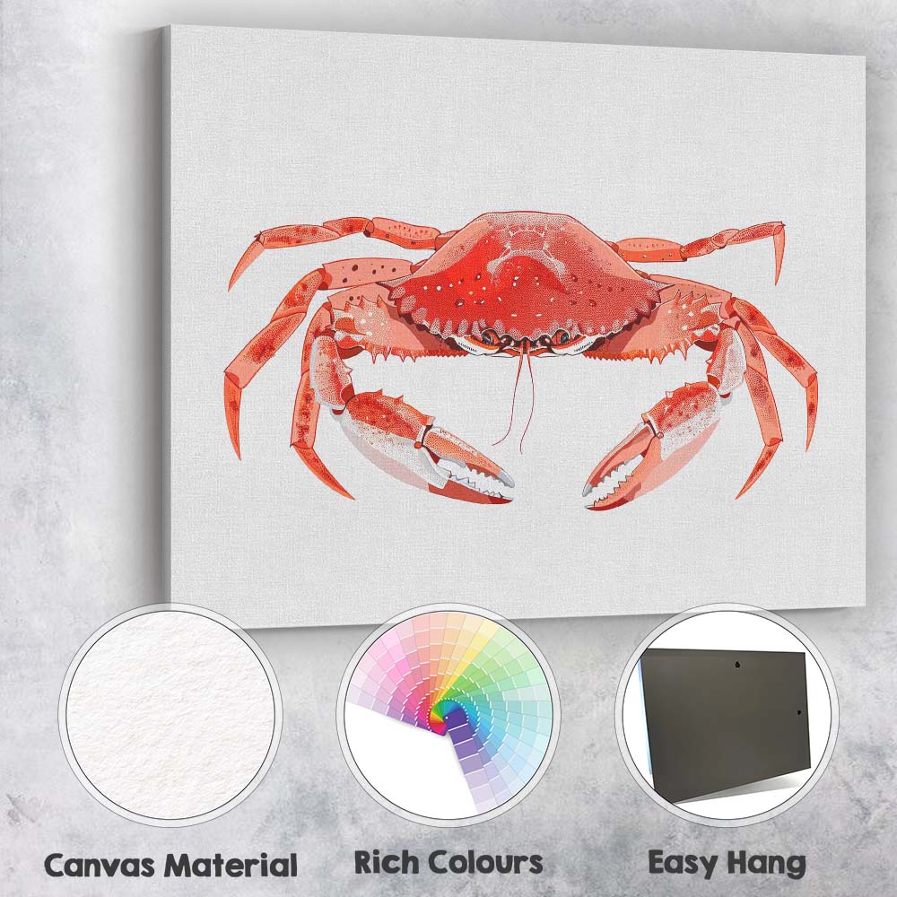 Detailed Red Brown Edible Crab Marine Wildlife Illustration Canvas Wall Art Print Decor Picture Ready to Hang
