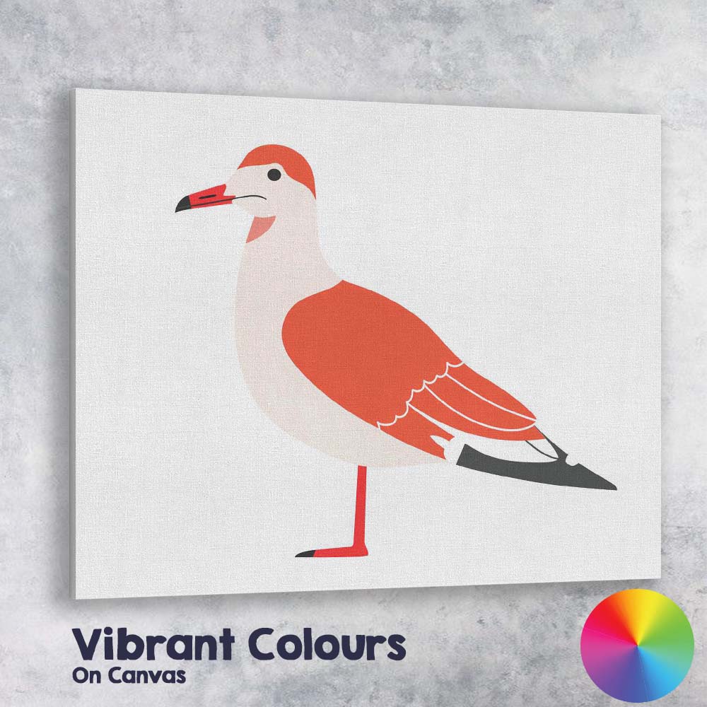 Minimalist Coral Seagull Coastal Bird Illustration Canvas Wall Art Print Decor Picture Ready to Hang