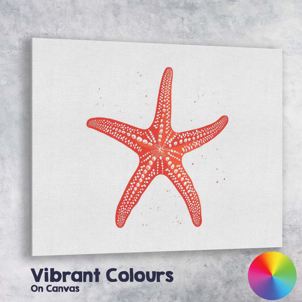 Rustic Coral Orange Decorative Starfish Coastal Illustration Canvas Wall Art Print Decor Picture Ready to Hang