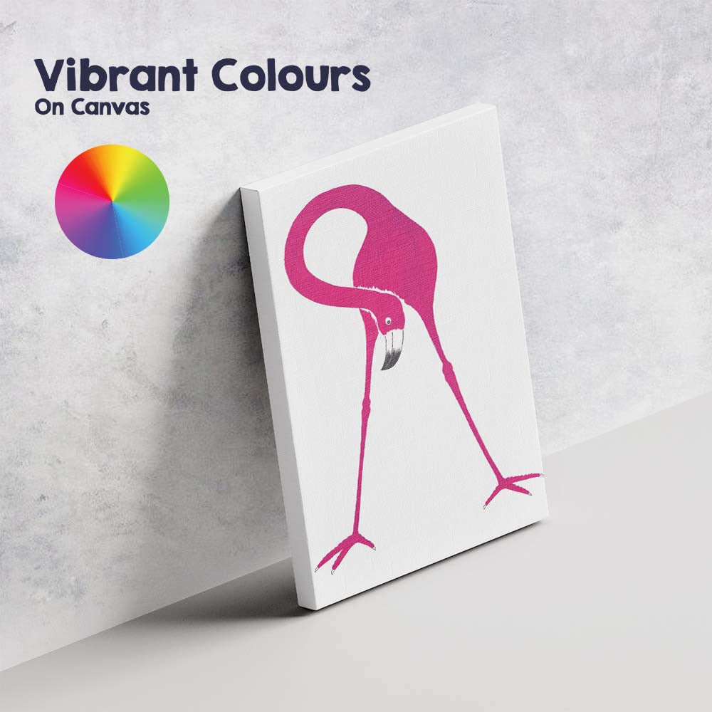 Bold Pink Flamingo Tropical Bird Minimalist Illustration Canvas Wall Art Print Decor Picture Ready to Hang