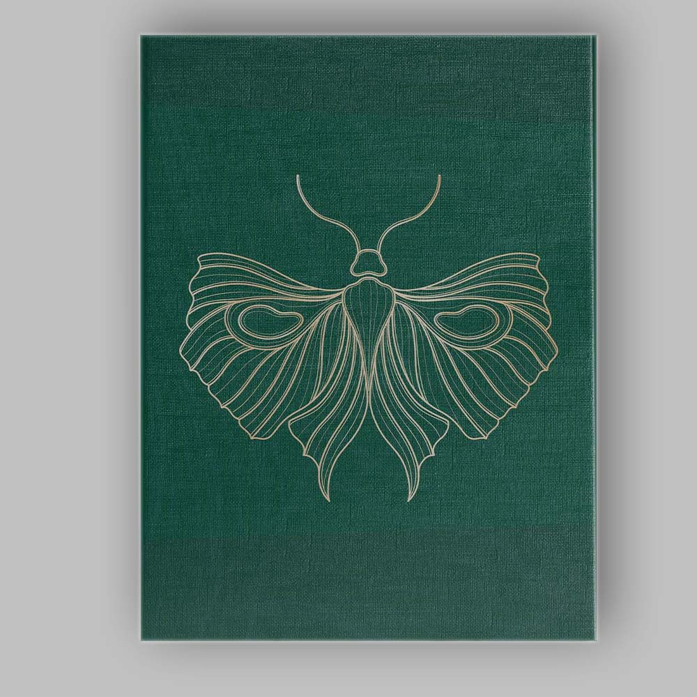 Elegant Gold Line Butterfly Botanical Illustration Dark Green Canvas Wall Art Print Decor Picture Ready to Hang