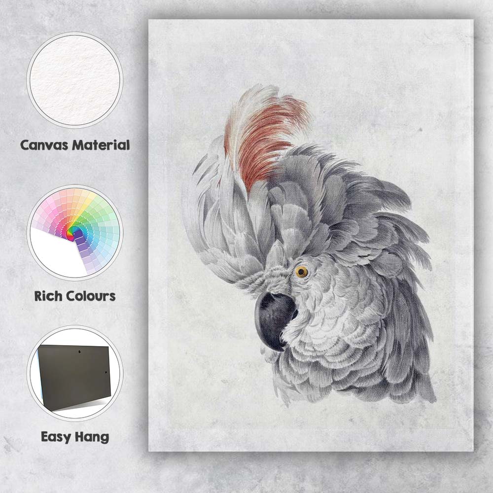 Elegant Grey Cockatoo Portrait Watercolour Bird Illustration Canvas Wall Art Print Decor Picture Ready to Hang