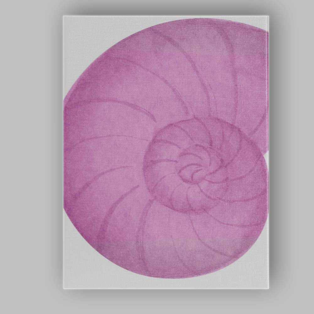 Soft Pink Watercolour Nautilus Shell Spiral Illustration Canvas Wall Art Print Decor Picture Ready to Hang