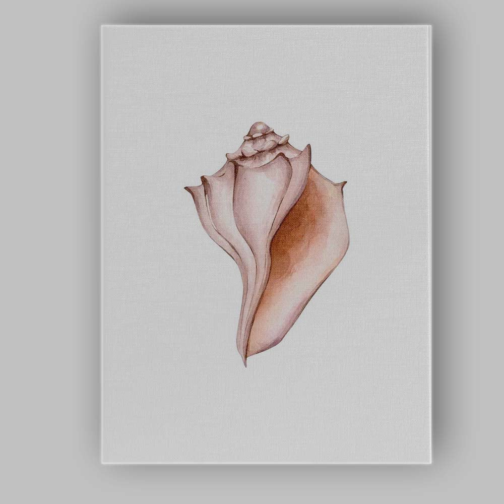 Neutral Beige Watercolour Conch Seashell Coastal Illustration Canvas Wall Art Print Decor Picture Ready to Hang