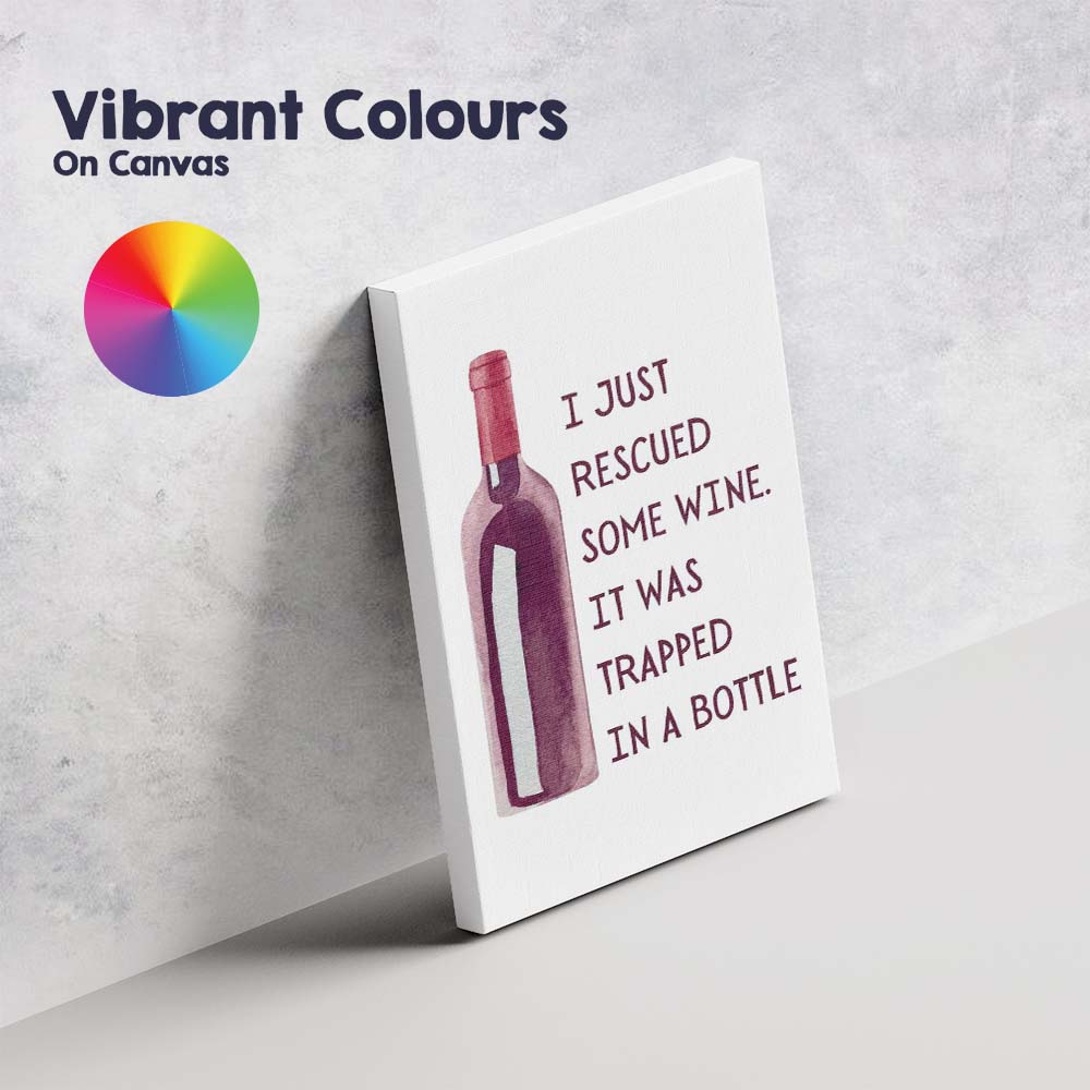 Watercolour Red Wine Bottle Humorous Rescue Quote Kitchen Bar Canvas Wall Art Print Decor Picture Ready to Hang
