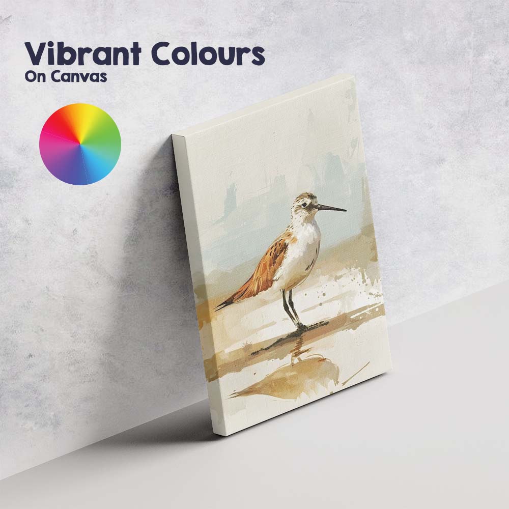 Watercolour Shorebird Coastal Wildlife Illustration Canvas Wall Art Print Decor Picture Ready to Hang