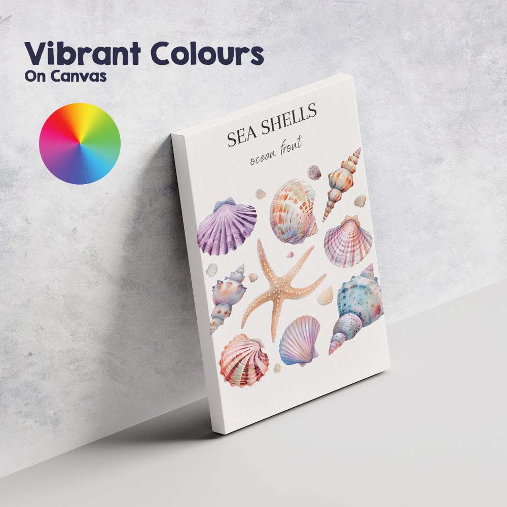 Pastel Sea Shells Ocean Front Coastal Watercolour Collection Canvas Wall Art Print Decor Picture Ready to Hang