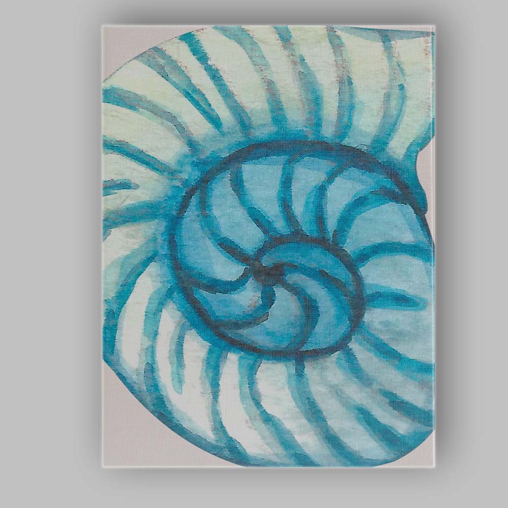 Blue Watercolour Nautilus Seashell Spiral Coastal Canvas Wall Art Print Decor Picture Ready to Hang