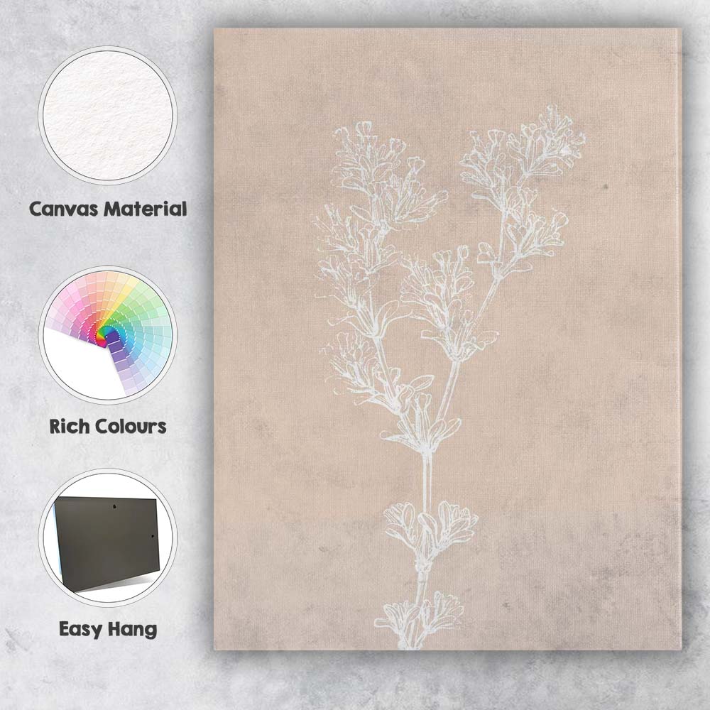 Neutral Botanical Coastal Wildflower Line Drawing Canvas Wall Art Print Decor Picture Ready to Hang
